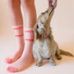 Dog Mom Ribbed Socks